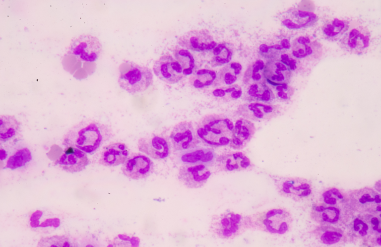 Nutrition and Hydration A variety of fruits and vegetables with a green smoothie in a glass.