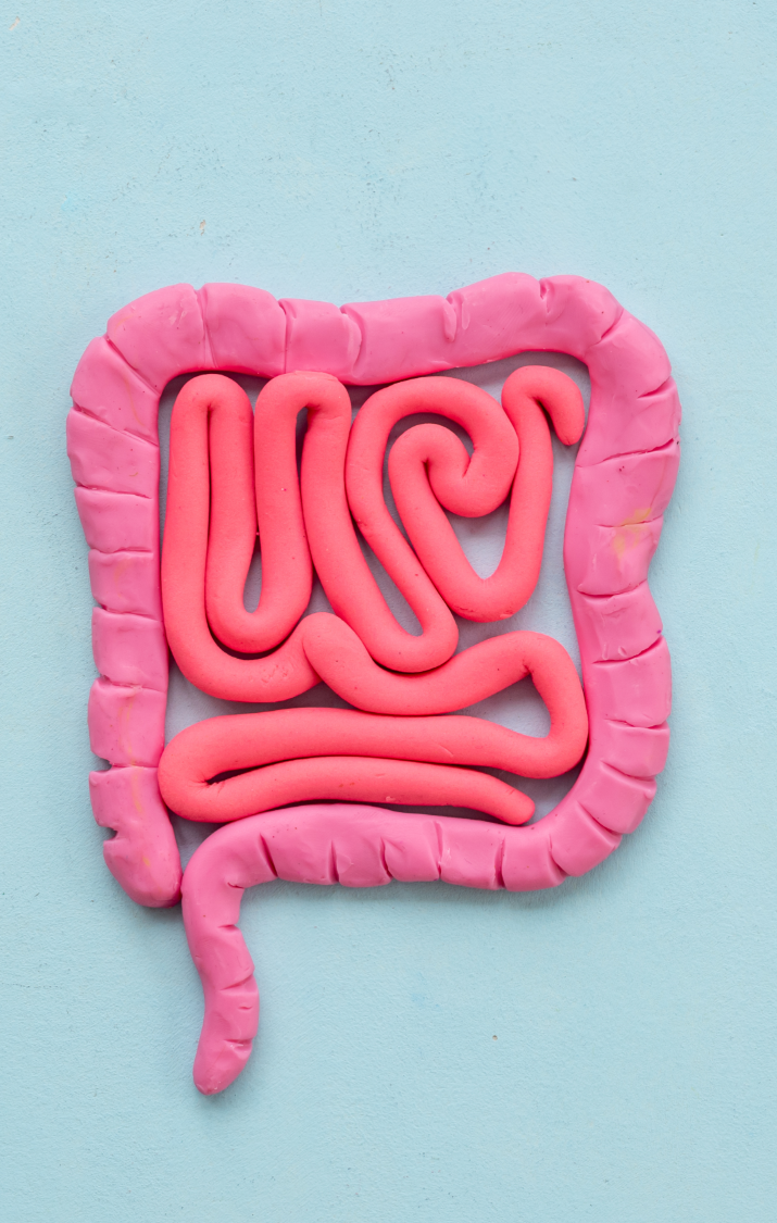 Bowel Management A representation of intestines made from pink modelling clay on a blue background.